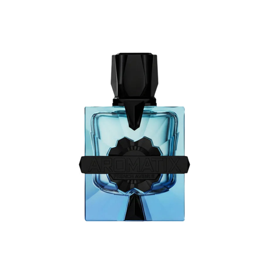Magnetiq EDP 100ml - Aromatix X French Avenue