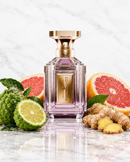 Velixir Parfums - Concordia EDP 100ml